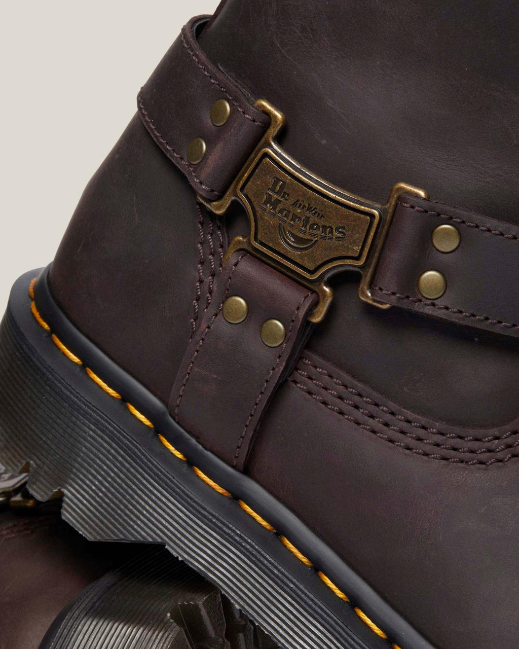 Dr. Martens Anistone Tall Leather Biker Boot – Dark Brown
