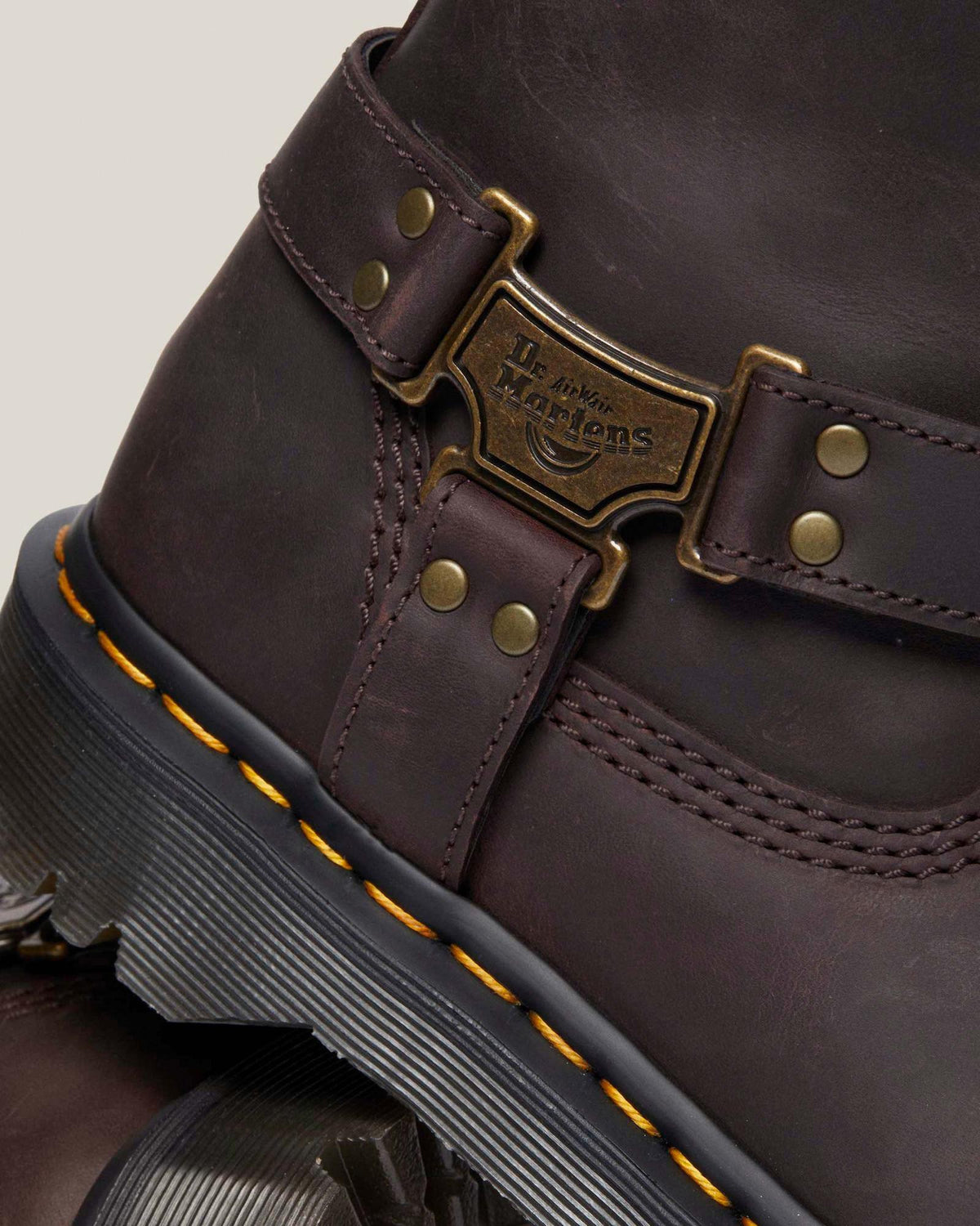 Dr. Martens Anistone Tall Leather Biker Boot – Dark Brown