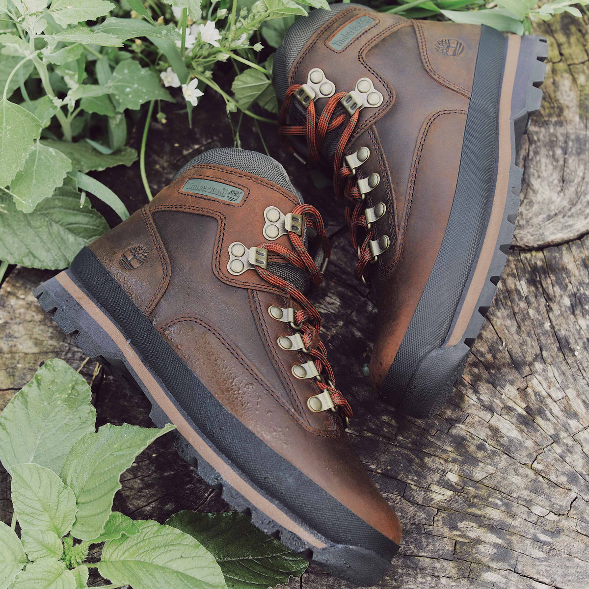 Timberland Women's Euro Hiker – Dark Brown Full-Grain